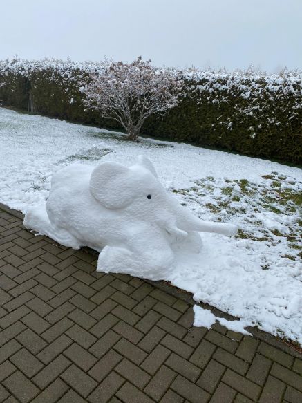 Der Schnee-Elefant