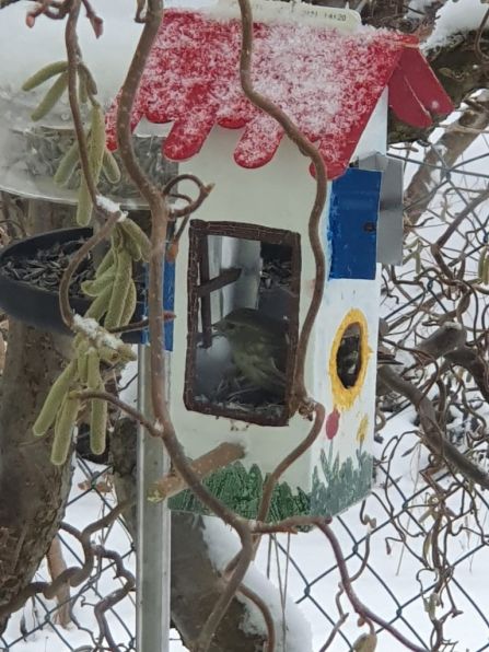 Das Häuschen von Felix Zwicknagl bekam sofort Besuch!