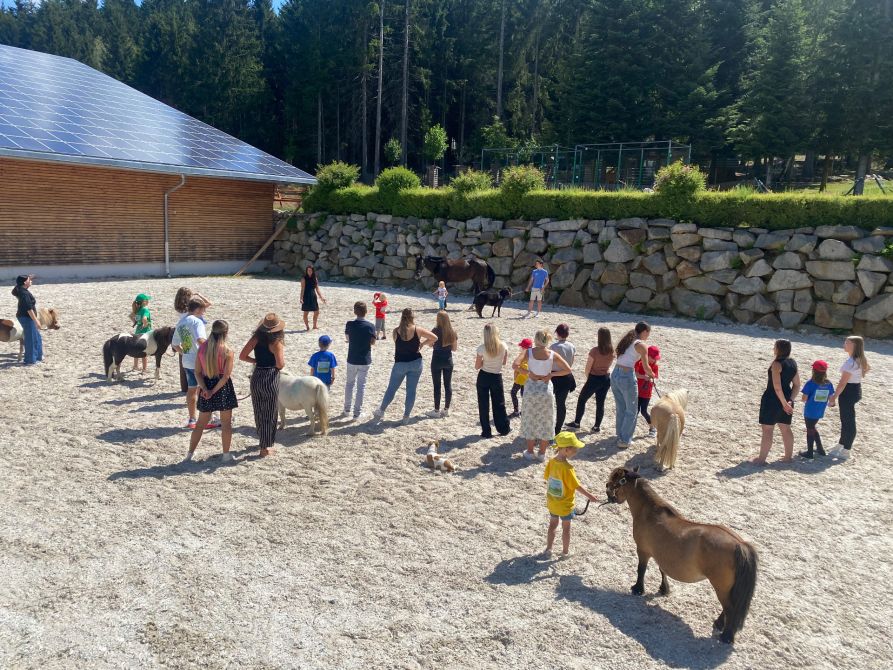 Unsere Q11-Schüler:innen gemeinsam mit den Kindern des Pony-Camps und etlichen Pferden auf dem Ulrichshof