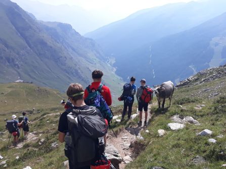 Neben Murmeltieren und Gämsen begegneten der Wandergruppe auch heimische Tiere, die sich manchmal sogar streicheln ließen.