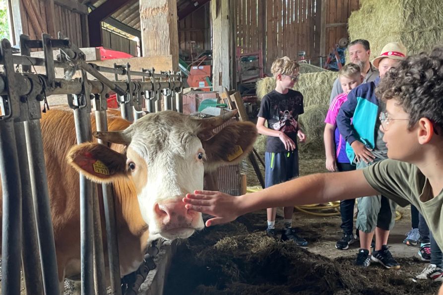 Am Boierhof hatten die Schüler die Möglichkeit in die Abläufe der ökologischen Landwirtschaft hineinzuschnuppern.