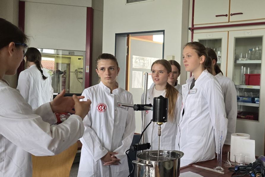 Einblicke in die Makromolekulare Chemie