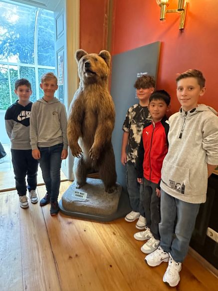 Gruppenbild mit Braunbär
