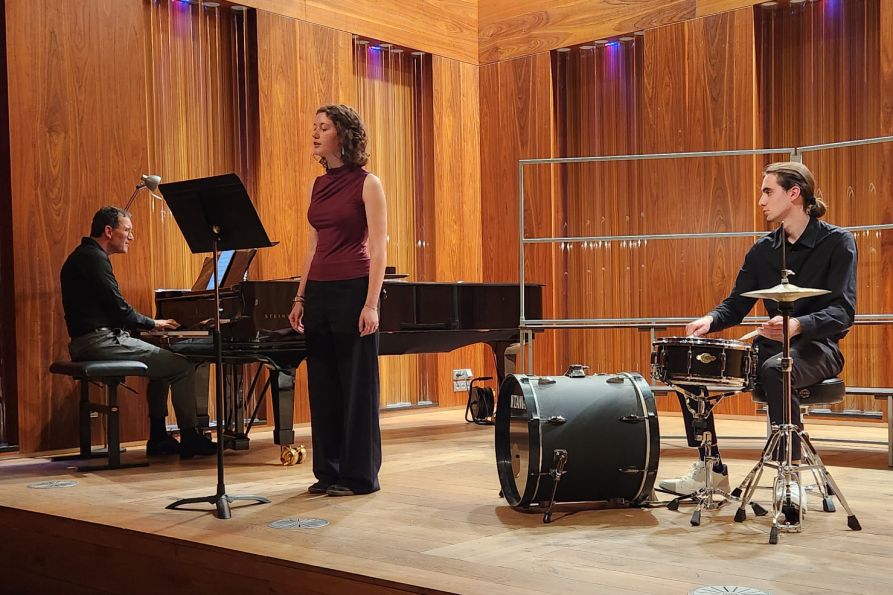 Unsere Musiker beim Weihnachtskonzert im wunderschönen Konzertsaal in Pilsen.